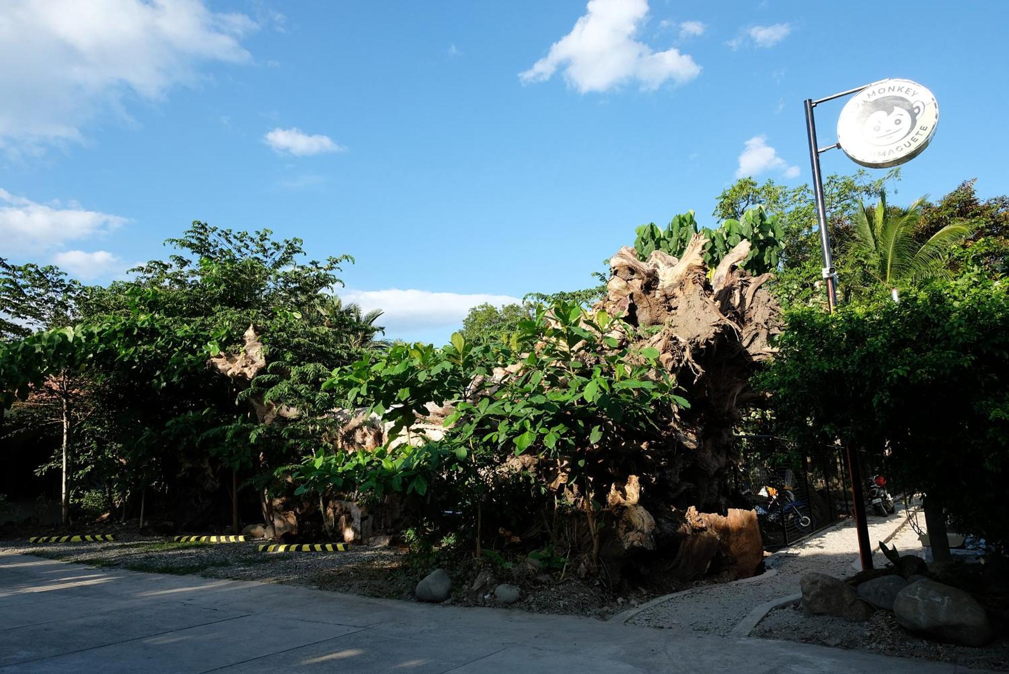 A Pousada Mad Monkey Dumaguete Dumaguete City Exterior foto